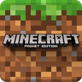 Minecraft icon
