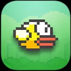 Flappy Bird icon